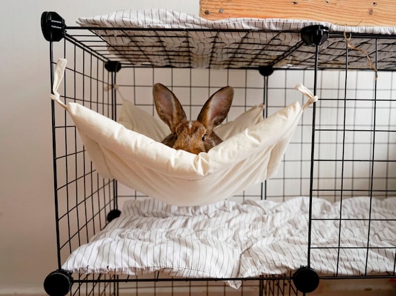 Opsplitsen procedure discretie Bunny Hangmat voor Cage Playpen Crate Bed Mat voor Konijn Rat - Etsy  Nederland