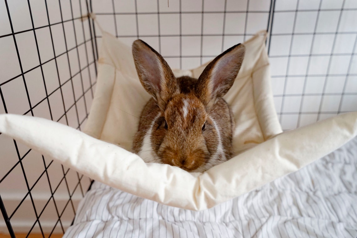 Bunny Hammock for Cage Playpen Crate Bed Mat for Rabbit Rat Etsy