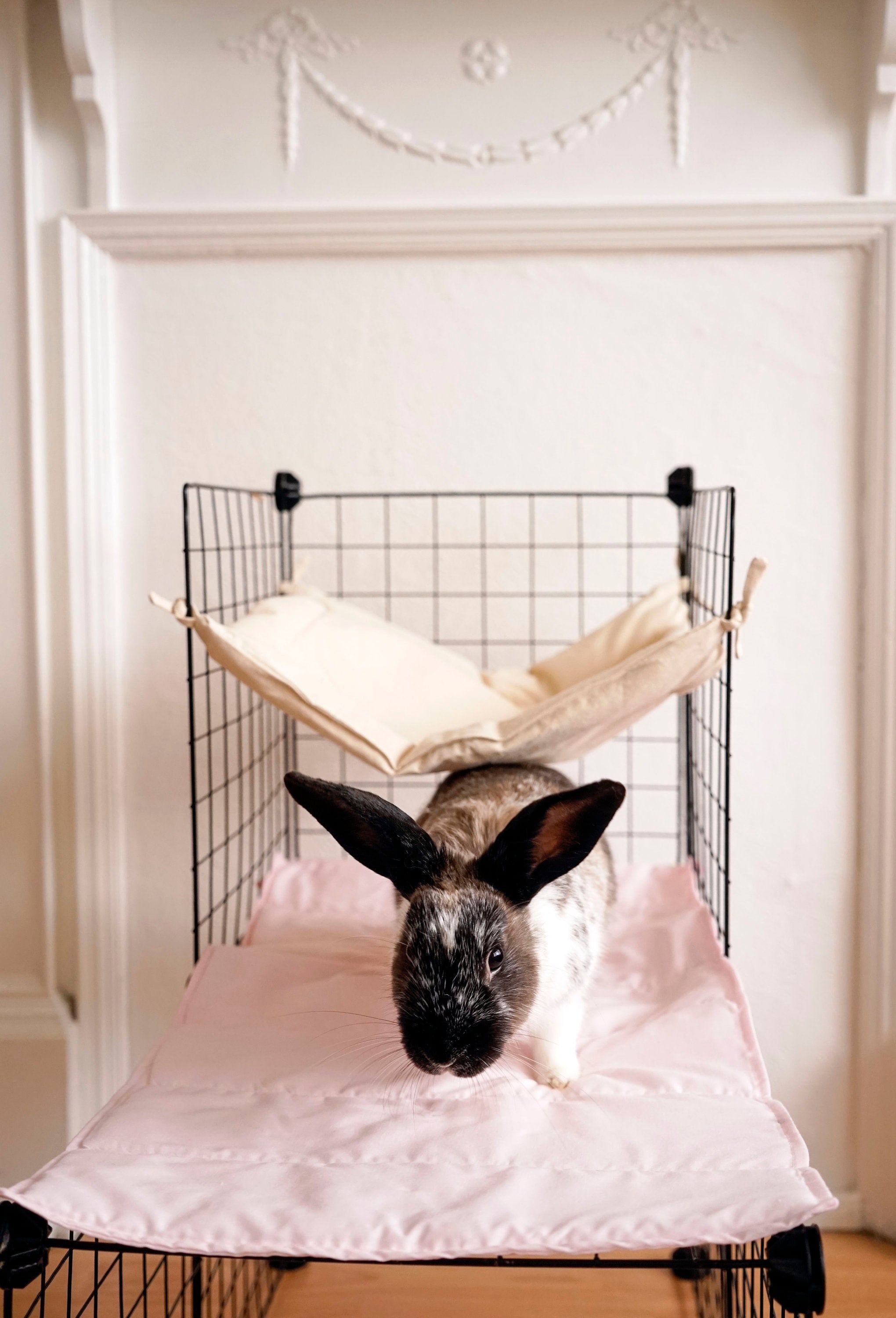 PREORDER Bunny Runner Soft CC Cage Liner Blanket Rabbit Guinea Etsy
