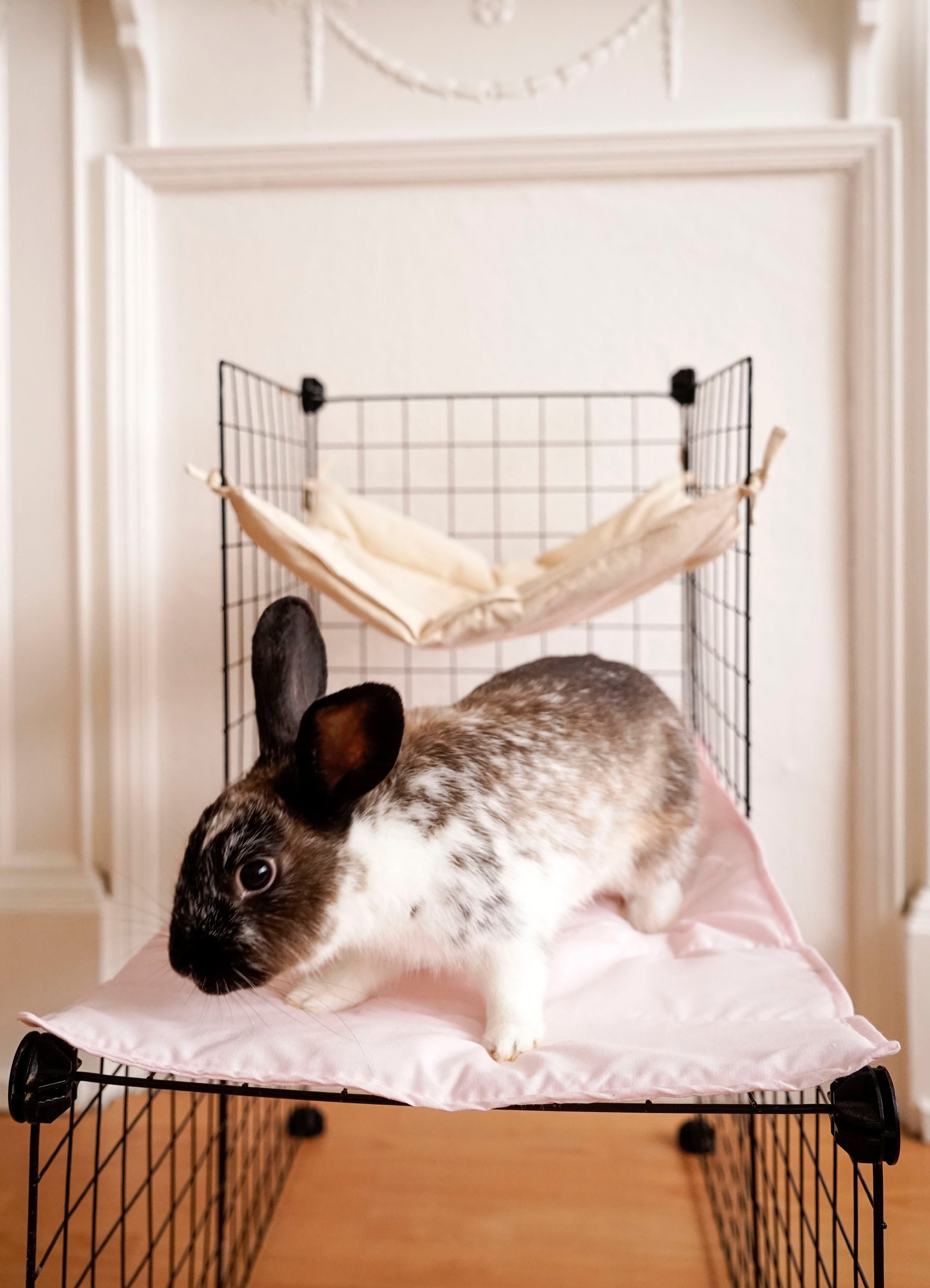 PREORDER Bunny Runner Soft CC Cage Liner Blanket Rabbit Guinea Etsy