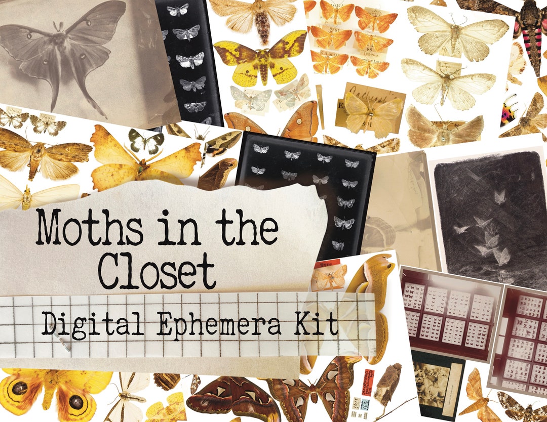 Moth Ephemera Sheet Set - Moths in the Closet - Printable Journal ...