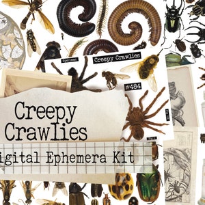 Creepy Crawlies Ephemera Sheet Set- Printable Journal Embellishment - Grimoire - Instant Download - Digital Download - Halloween - Cemetery