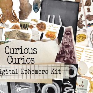 Curious Curios Ephemera Sheet Set- Printable Journal Embellishment - Grimoire - Instant Download - Digital Download - Halloween - Cemetery