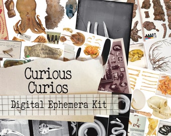 May include: A digital ephemera kit with the title "Curious Curios" and a collage of vintage images of bones, skulls, insects, and other curiosities.