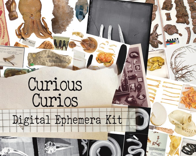 Featured listing image: Curious Curios Ephemera Sheet Set- Printable Journal Embellishment - Grimoire - Instant Download - Digital Download - Halloween - Cemetery