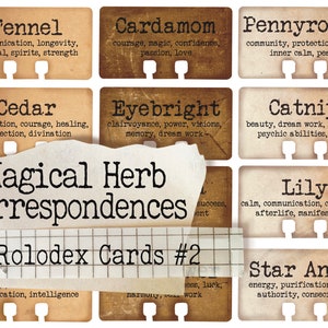 Zauberhafte Kräuterkorrespondenz Rolodex Karten #2 - Word Sheet - Druckbare Journal Verzierung - Grimoire - Instant Download - Digital Download