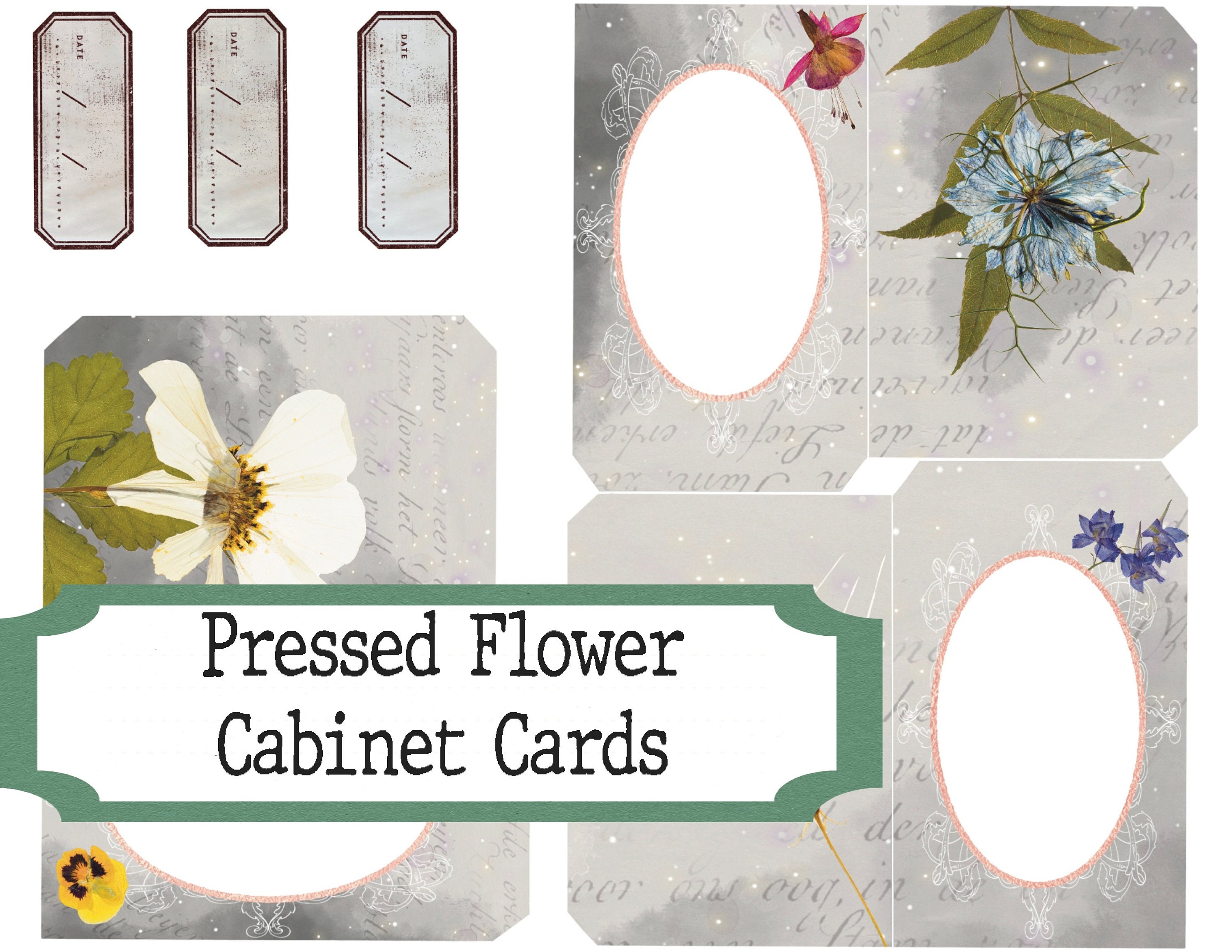 Flower Specimen Cabinet Cards - Printable Journal Ephemera - Book of  Shadows- Grimoire - Scrapbooking- Junk Journal - Digital Download