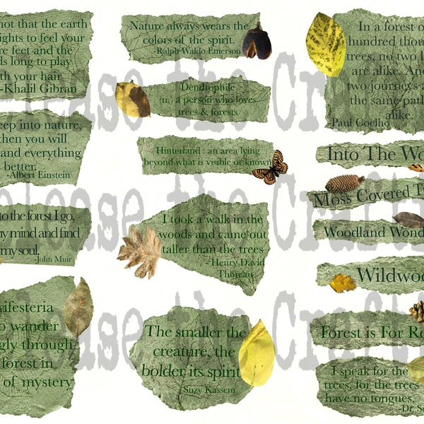 Forest Words- Nature Words - Printable Journal Embellishment - Scrapbooking- Instant Download - Digital Download - Book of Shadows