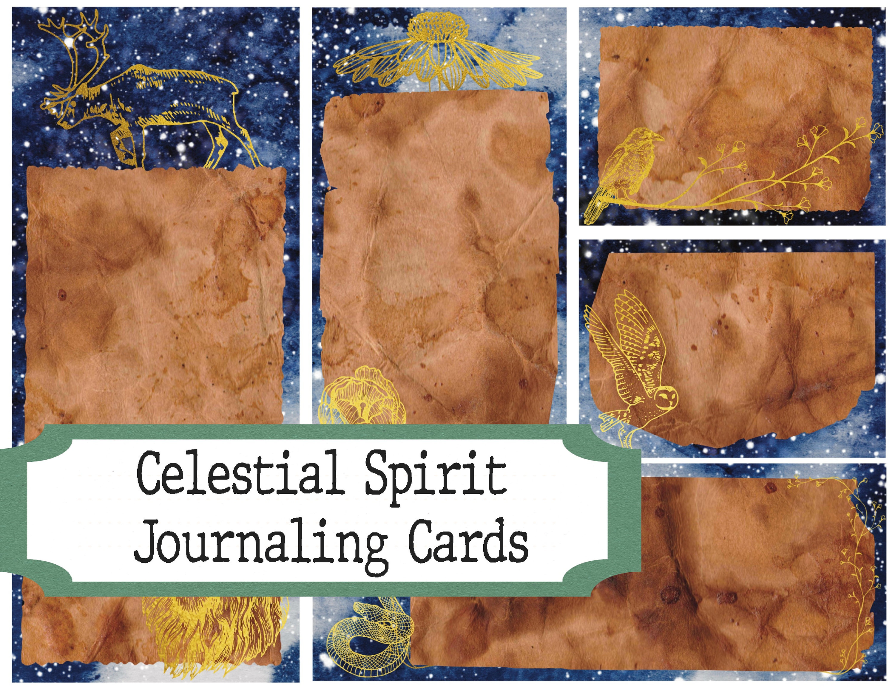 Celestial Journal [Book]