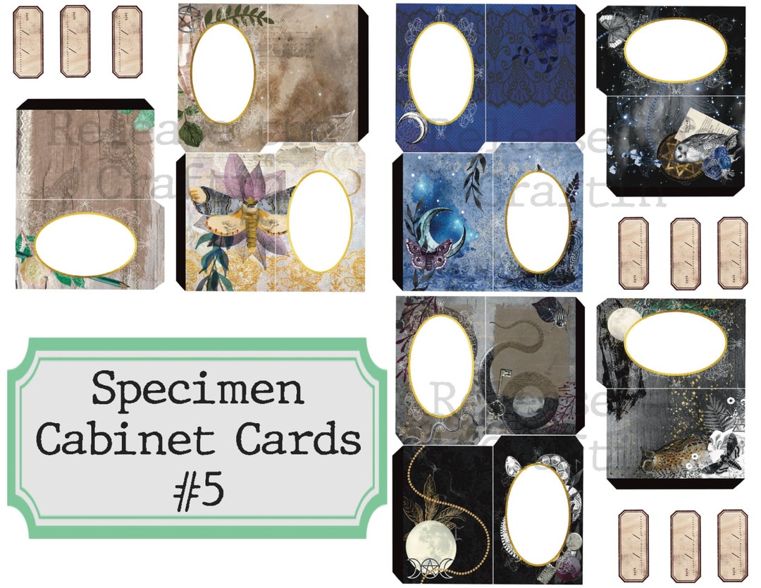 Specimen Cabinet Cards #5- Printable Journal Embellishment - Book of ...