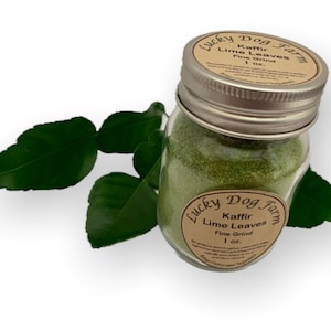1 Ounce Powdered Kaffir Lime Leaves Fine Ground with Jar Makrut Mauritius Papeda Citrus Hystrix Fresh Picked and Dried to Order
