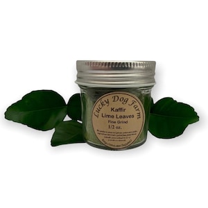 1/2 Ounce Powdered Kaffir Lime Leaves Fine Ground with Jar Makrut Mauritius Papeda Citrus Hystrix Fresh Picked and Dried to Order