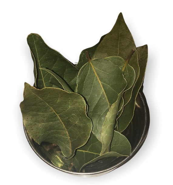 Wild Bay Leaves – Central Valley Spice Co Wild Bay Leaves – Central Valley Spice Co