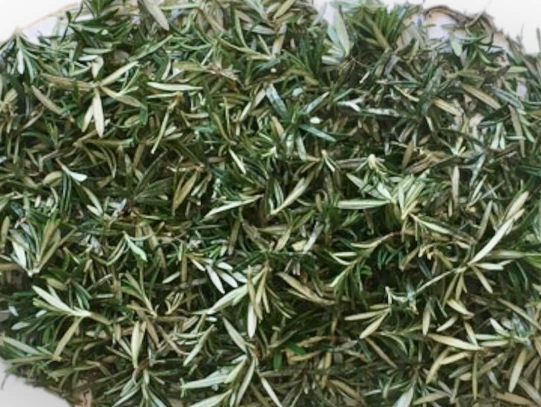 Fresh Rosemary Leaves Picked by Hand to Order - Etsy