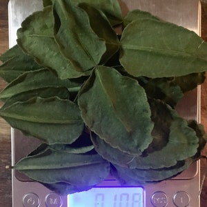 K&ouml;nnte beinhalten: Eine digitale K&uuml;chenwaage mit einem Haufen getrockneter gr&uuml;ner Bl&auml;tter darauf. Die Waage zeigt 0,108 an.