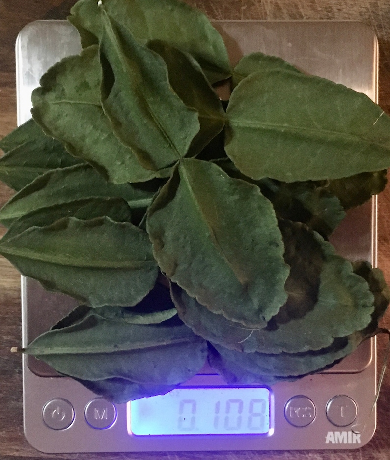 K&ouml;nnte beinhalten: Eine digitale K&uuml;chenwaage mit einem Haufen getrockneter gr&uuml;ner Bl&auml;tter darauf. Die Waage zeigt 0,108 an.