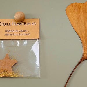 Carte cadeau / Cadeau en kit /Mini carte / Pensée positive /Porte bonheur / Marque page/ Carte de voeux