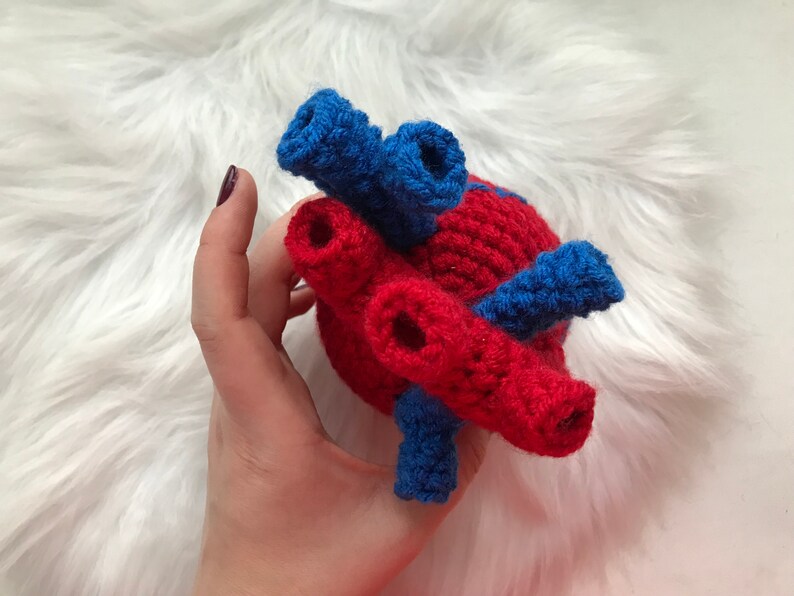 Halloween realistic stuffed anatomical human heart toy Etsy