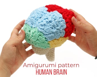 Anatomical crochet human brain pattern, Amigurumi realistic human brain pattern, Crochet brain pattern amigurumi, English brain pattern