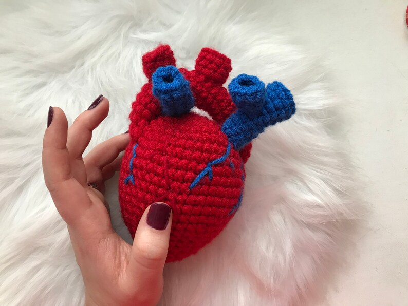 Halloween realistic stuffed anatomical human heart toy Etsy