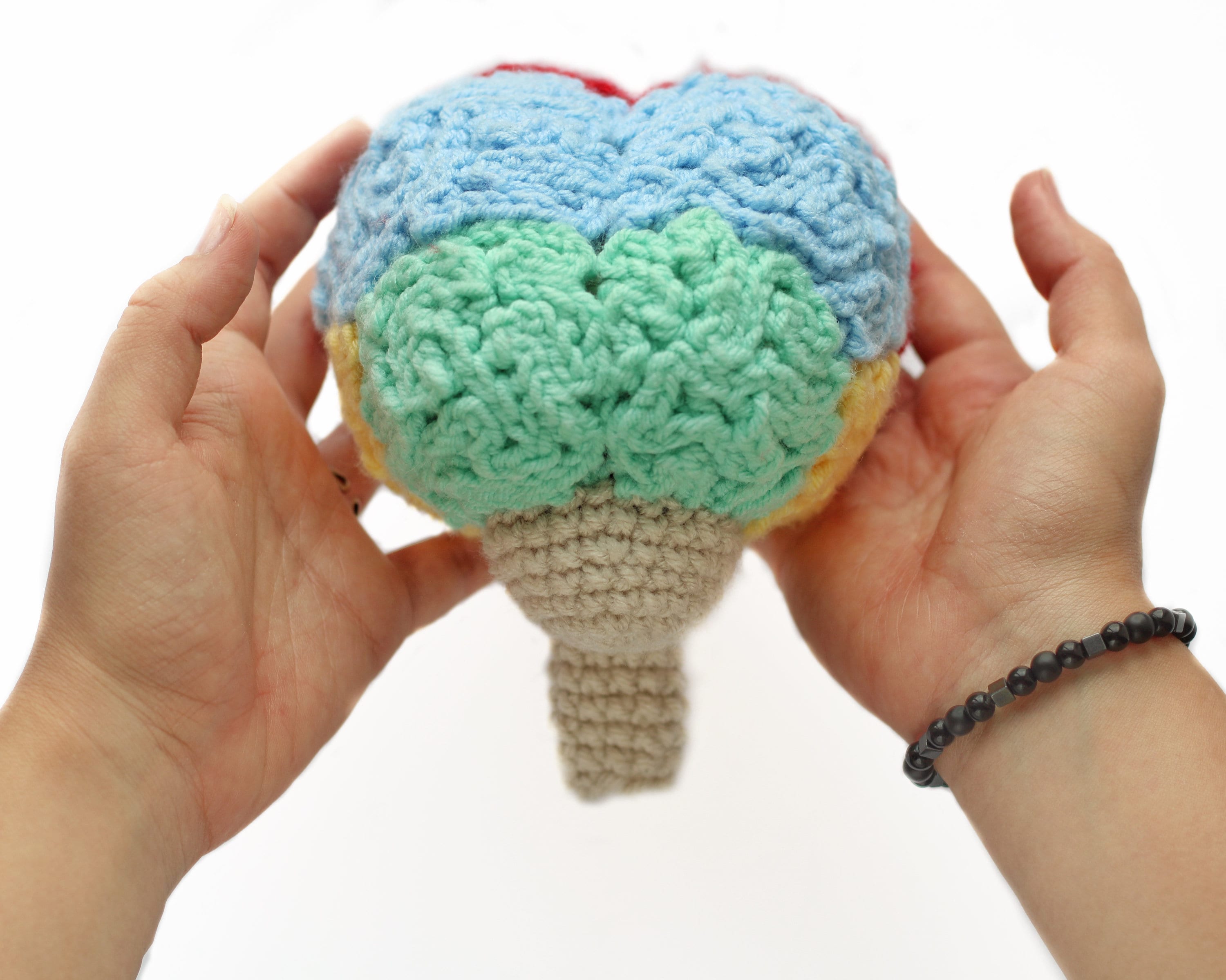 Anatomical crochet human brain pattern Amigurumi realistic Etsy
