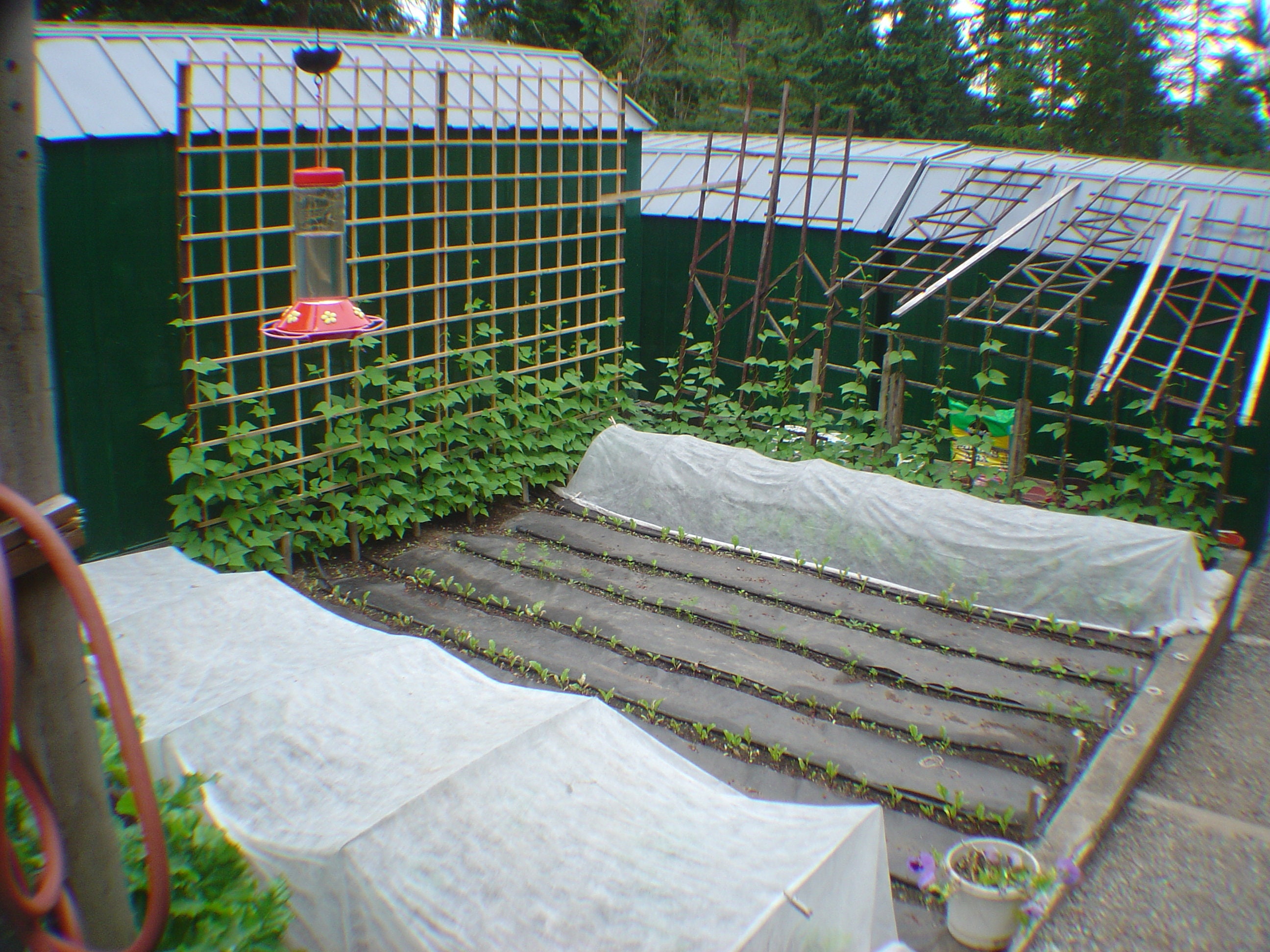 Colorful Wooden Garden Stakes Vegetable 7 Pairs FREE SHIPPING Etsy UK