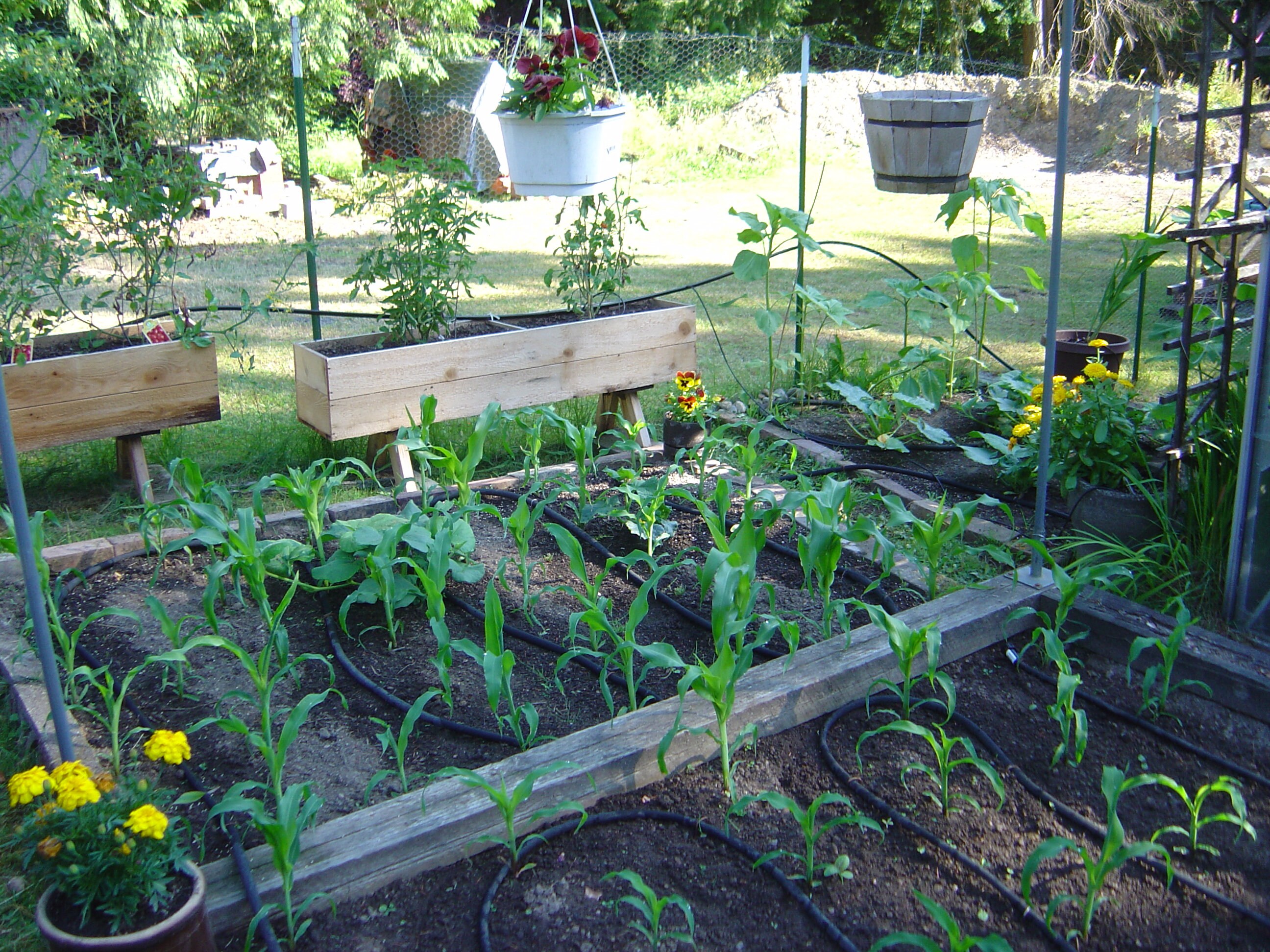 Colorful Wooden Garden Stakes Vegetable 7 Pairs FREE SHIPPING Etsy UK