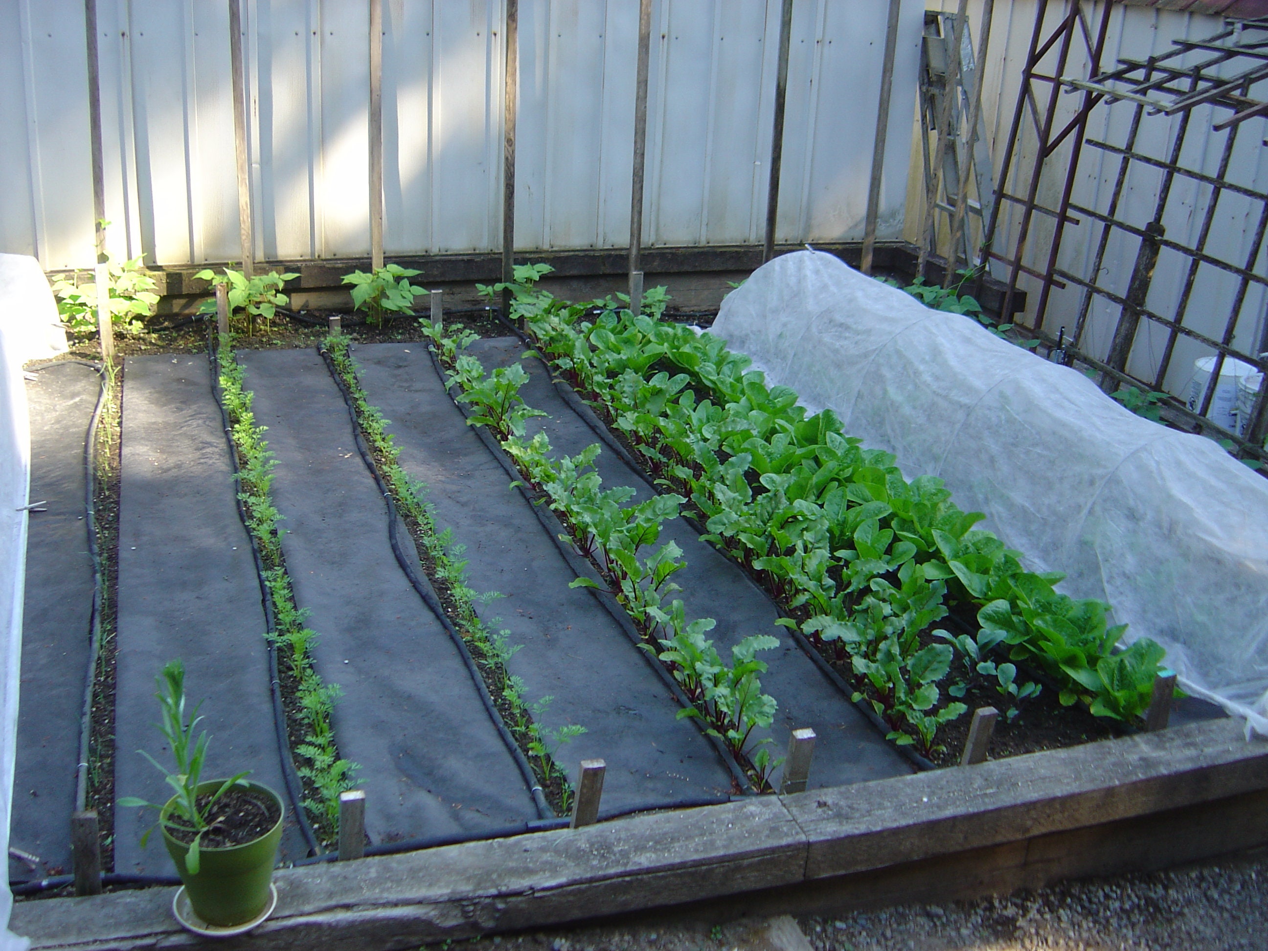 Colorful Wooden Garden Stakes Vegetable 7 Pairs FREE SHIPPING Etsy UK