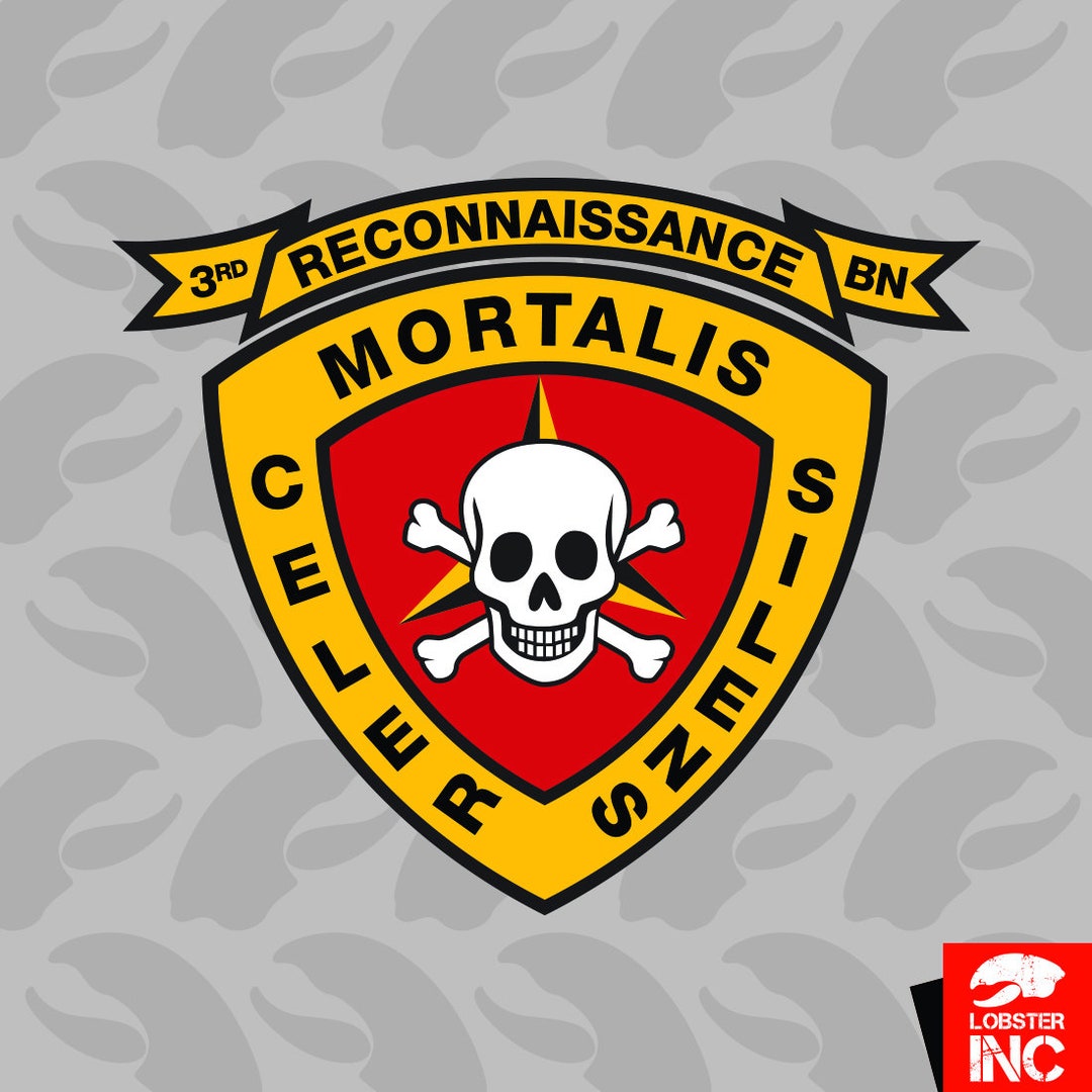 3rd Recon Battalion USMC Marine Sticker Self Adhesive Vinyl Etsy