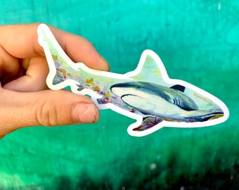 May include: A shark sticker with a watercolor design. The sticker features a gray and white shark with a detailed illustration of the ocean and coral. The sticker is held against a green background.