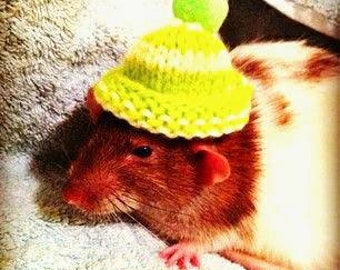 BOBBLE HATS for RATS. Cute dress up hats for your ratties. Take beautiful photos, make memories and share on social media. Super cute rats