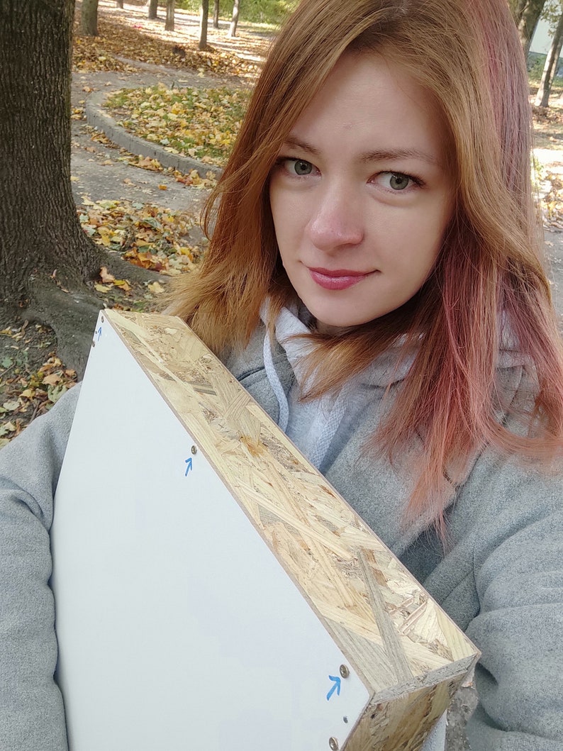 Pu&ograve; includere: Un pannello di tela bianca con una cornice in legno. Il pannello &egrave; tenuto da una persona con lunghi capelli rossi. Il pannello ha delle frecce blu disegnate su di esso.