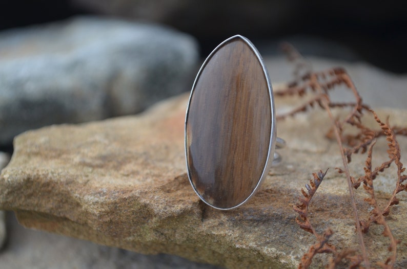 Petrified Wood Ring Etsy