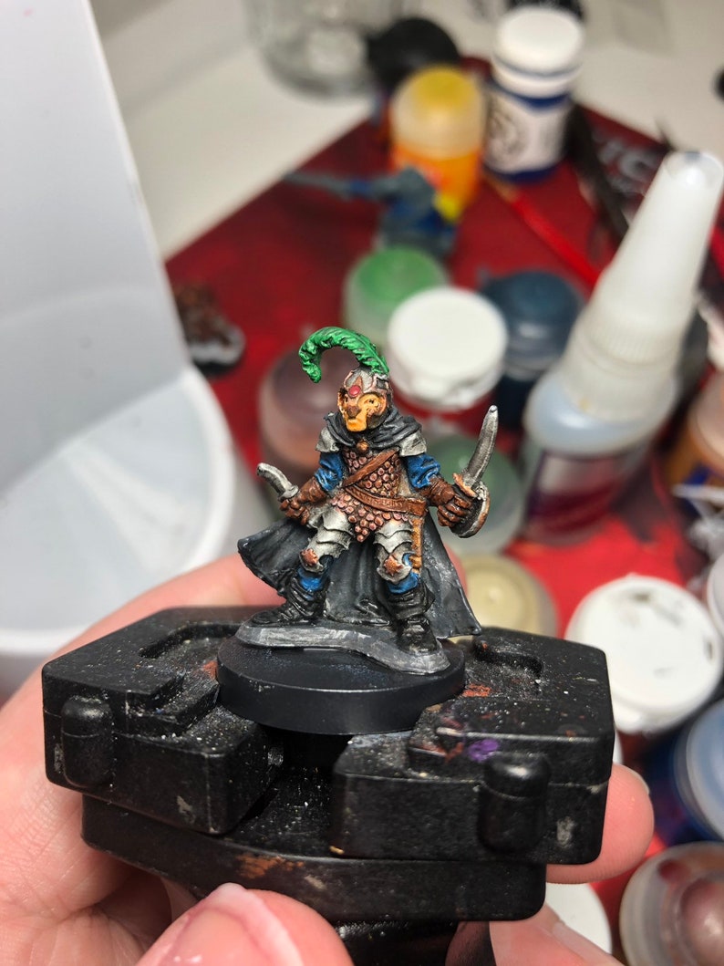 Human Rogue Fighter Painted Miniature