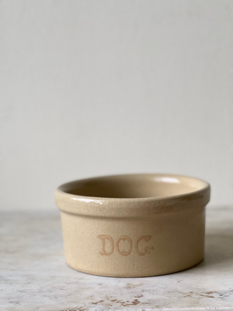 Stoneware Dog Bowl Robinson Ransbottom Co VINTAGE Etsy