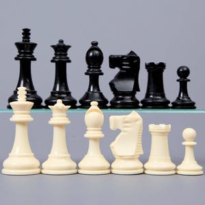 May include: A set of black and white chess pieces. The black pieces are made of a dark plastic and the white pieces are made of a light plastic. The pieces are arranged in two rows on a glass surface.