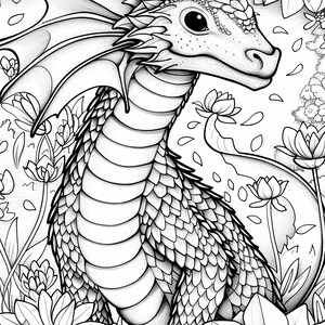 Fairy Dragons Coloring Pages for Children and Adults to Print - Etsy