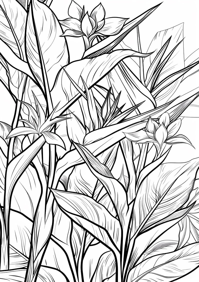 A World of Amazing Plants. Coloring Pages for Adults and Children - Etsy