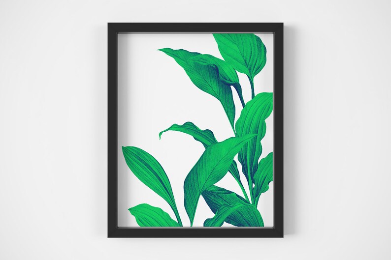 Green Tropical Leaves Jungle Background Nature Atwork Plant Etsy