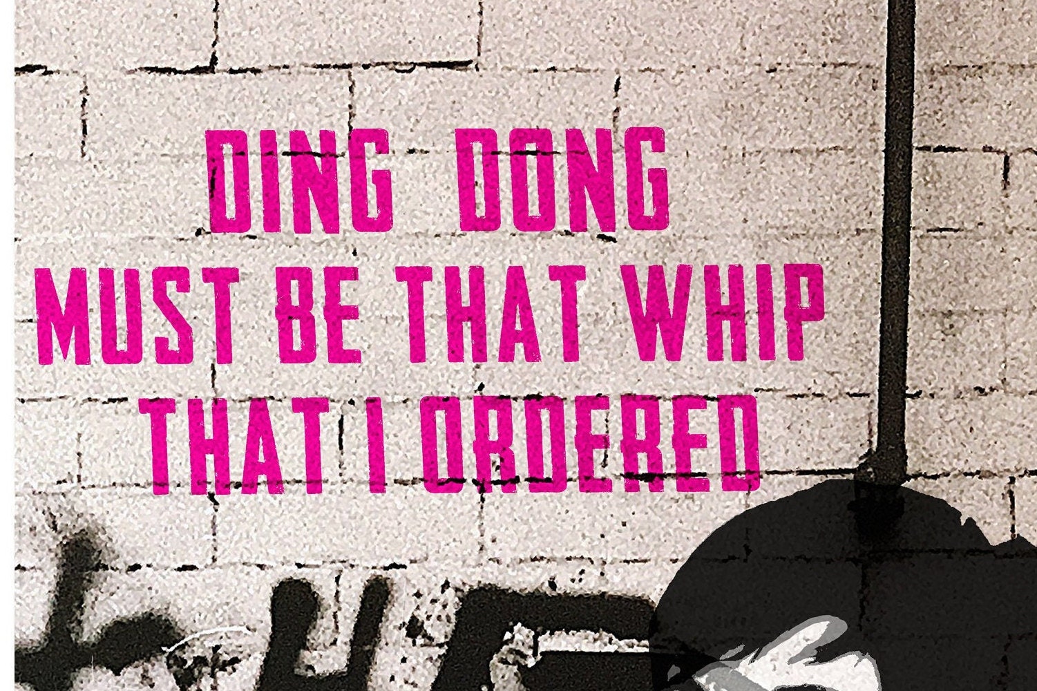 Ding Dong Must Be That Whip That I Ordered
