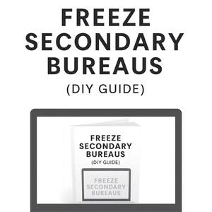 May include: A digital tablet displays a white DIY guide. The guide's title, "FREEZE SECONDARY BUREAUS", is in bold, black uppercase letters. The guide also appears on the tablet screen. The text '(DIY GUIDE)' is below the title.