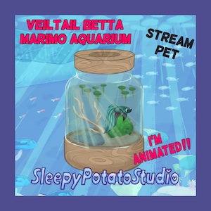 Veiltail Betta Marimo Moss-Ball Animated Stream Pet