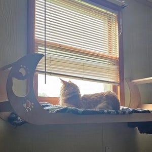 Cat Window Perch