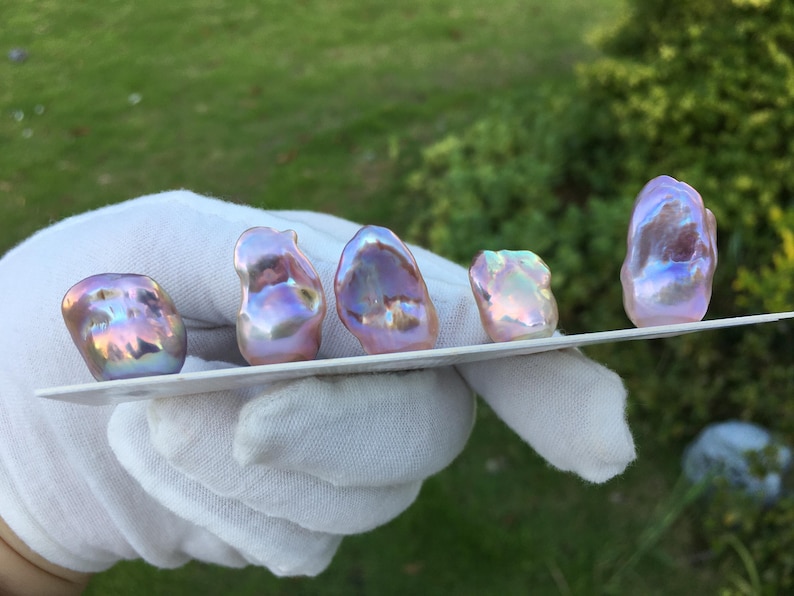 May include: Five iridescent, baroque pearls displayed on a white surface. The pearls have a mix of pink, purple, and gold hues, with irregular shapes. The background is blurred green foliage.