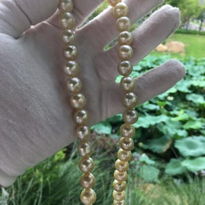 Natural Light Yellow Gold Color South Sea Pearl Strand for Necklace Design|Pale Cream Gold Seawater Pearl Strand|9-11mm,NYZ009