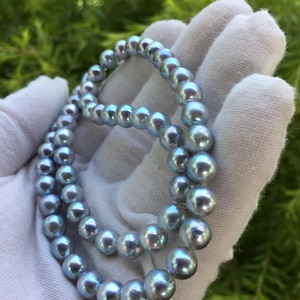 Hilo de perlas Akoya de color gris azulado natural/Perlas de agua de mar japonesas de tamaño pequeño para diseño de collar/6-7 mm, MPL105