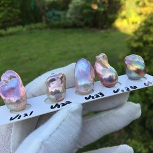 May include: Five iridescent baroque pearls, each with unique shapes and colors, are displayed on a white card labeled V121 to V125. The pearls exhibit hues of pink, purple, and gold, reflecting light. The background is a blurred green outdoor scene.