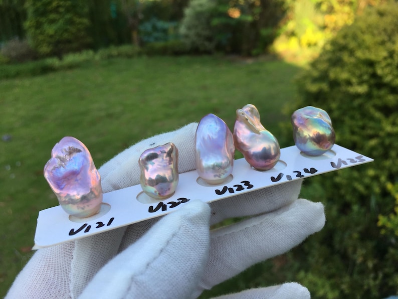 May include: Five iridescent baroque pearls, each with unique shapes and colors, are displayed on a white card labeled V121 to V125. The pearls exhibit hues of pink, purple, and gold, reflecting light. The background is a blurred green outdoor scene.
