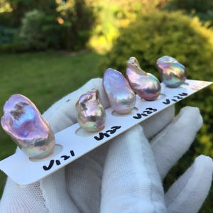 May include: Five iridescent baroque pearls, each with unique shapes and colors, are displayed on a white card. The pearls range in color from pink to purple and blue, with a shimmering, textured surface. The card is held by a gloved hand.