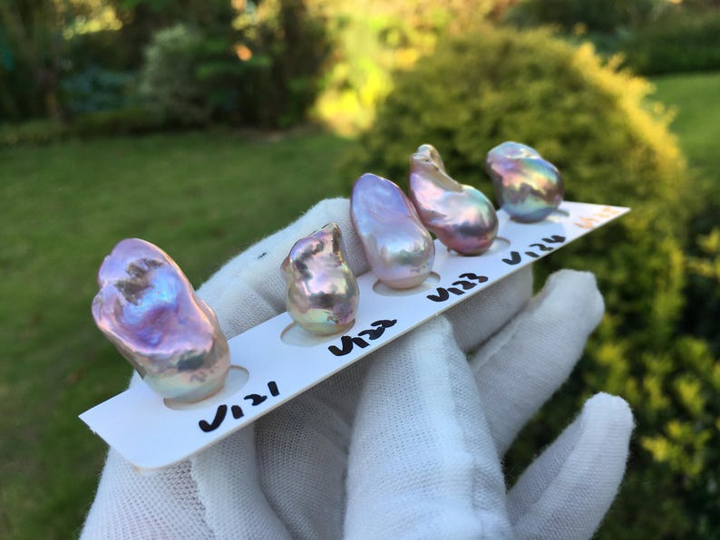 May include: Five iridescent baroque pearls, each with unique shapes and colors, are displayed on a white card. The pearls range in color from pink to purple and blue, with a shimmering, textured surface. The card is held by a gloved hand.